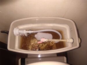 南房総市　トイレタンク部品交換