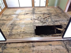 鴨川市　和室改修工事
